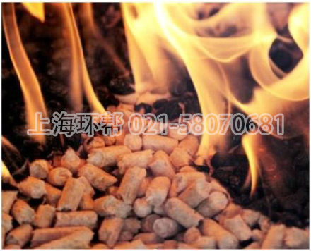 生物質(zhì)燃料