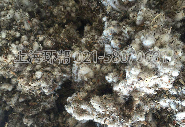 廢棉質(zhì)類2